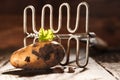 Fresh earthy farm potato and masher Royalty Free Stock Photo