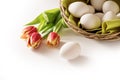 Fresh easter eggs in a basket and red tulips as a holiday corner Royalty Free Stock Photo