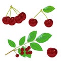 High quality red cherry vector with leaf