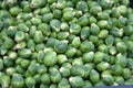 Fresh eco organic brussels sprouts for sale Royalty Free Stock Photo