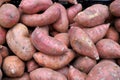 Fresh eco organic Sweet Potatoes for sale Royalty Free Stock Photo