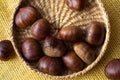 Fresh edible chestnuts in a basket Royalty Free Stock Photo