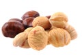 fresh edible chestnuts Royalty Free Stock Photo