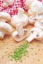 Fresh edible Portabello Mushroom Champignon and Parsley