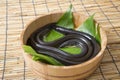 Fresh eel of Japanese for commercial material Royalty Free Stock Photo