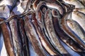 Fresh eels on a counter at the fish market in the port city. Morning catch