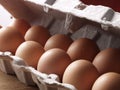 Fresh egg. Royalty Free Stock Photo