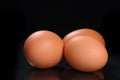 Fresh egg Royalty Free Stock Photo