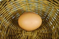Fresh egg in basket Royalty Free Stock Photo