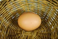 Fresh egg in basket