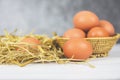 Fresh egg on basket and straw with wooden table background top view - Raw chicken eggs collect from the farm products natural eggs Royalty Free Stock Photo