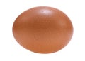 Fresh egg isolated on white background Royalty Free Stock Photo