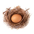 Fresh egg sits in a natural nest isolated on white background Royalty Free Stock Photo