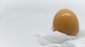 a fresh egg on tissue paper on a white background Royalty Free Stock Photo