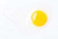 Fresh egg, yolk and albumen