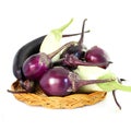 Fresh eggplant or aubergine bringal Royalty Free Stock Photo