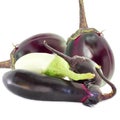 Fresh eggplant or aubergine bringal Royalty Free Stock Photo