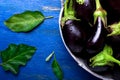 Fresh eggplant in grey basket on blue wooden table.Rustic background. Top view. Copy space. Vegan vegetable. Royalty Free Stock Photo