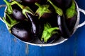 Fresh eggplant in grey basket on blue wooden table.Rustic background. Top view. Copy space. Vegan vegetable. Royalty Free Stock Photo