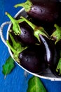 Fresh eggplant in grey basket on blue wooden table.Rustic background. Top view. Copy space. Vegan vegetable. Royalty Free Stock Photo