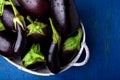 Fresh eggplant in grey basket on blue wooden table.Rustic background. Top view. Copy space. Vegan vegetable. Royalty Free Stock Photo