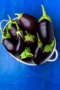 Fresh eggplant in grey basket on blue wooden table.Rustic background. Top view. Copy space. Vegan vegetable. Royalty Free Stock Photo