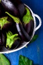 Fresh eggplant in grey basket on blue wooden table.Rustic background. Top view. Copy space. Vegan vegetable. Royalty Free Stock Photo