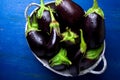 Fresh eggplant in grey basket on blue wooden table.Rustic background. Top view. Copy space. Vegan vegetable. Royalty Free Stock Photo