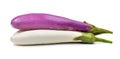 Fresh eggplant isolated on white background Royalty Free Stock Photo