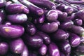 fresh eggplant