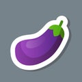 Fresh eggplant sticker tasty vegetable healthy food concept