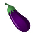 Fresh Eggplant vegetable isolated icon.