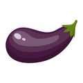 Fresh eggplant vegetable isolated on white background. Vector illustration for any design Royalty Free Stock Photo