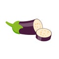 Fresh Eggplant vegetable isolated on white background. Vector illustration Royalty Free Stock Photo