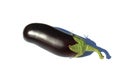 Fresh eggplant vegetable lies on a white background.