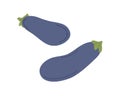 Fresh eggplants composition. Whole purple aubergines with stems. Raw brinjal vegetables. Veggie food. Flat vector