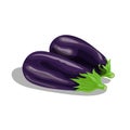 Fresh eggplants group in cartoon style. Fresh violet whole vegetables. Farm fresh. Vector illustration isolated on white
