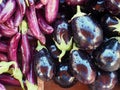 Fresh Eggplants Royalty Free Stock Photo