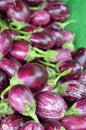 Fresh eggplants for sale in a market Royalty Free Stock Photo