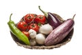 Fresh eggplants, tomatoes on the vine, green pepper, onion and garlic placed in a wicker basket over white background Royalty Free Stock Photo