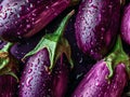 Fresh eggplants with water drops on dark background, closeup Generative AI Royalty Free Stock Photo