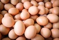 Fresh eggs on basket