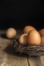 Fresh eggs in birds nest in vintage retro style moody natural li Royalty Free Stock Photo