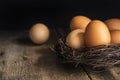 Fresh eggs in birds nest in vintage retro style moody natural li Royalty Free Stock Photo