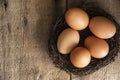 Fresh eggs in birds nest in vintage retro style moody natural li Royalty Free Stock Photo