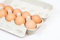 Fresh eggs in carton box Royalty Free Stock Photo