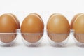 Fresh eggs in clear plastic tray Royalty Free Stock Photo
