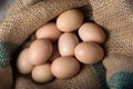 Fresh eggs from a farm in a bag. Top view. Crude products