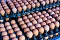 Fresh eggs from farm at wholesale market Royalty Free Stock Photo