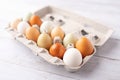 Fresh eggs from free range chickens on a small farm, beautiful colorful eggs from different breeds of chickens Royalty Free Stock Photo